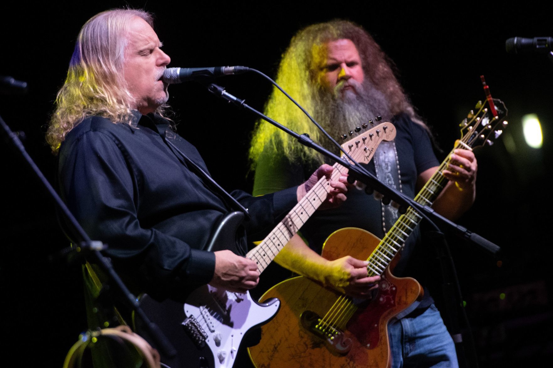 'The Last Waltz Tour' at Stifel Theatre